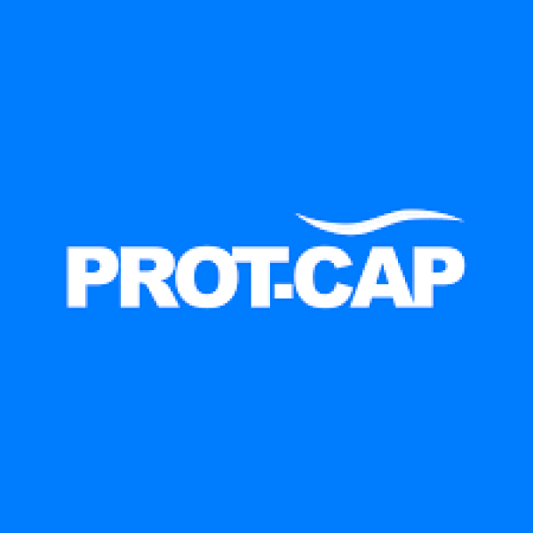 Prot-Cap Bridge360
