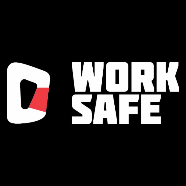 Work Safe Bridge360
