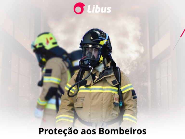 Libus do Brasil - Bridge360 - 4