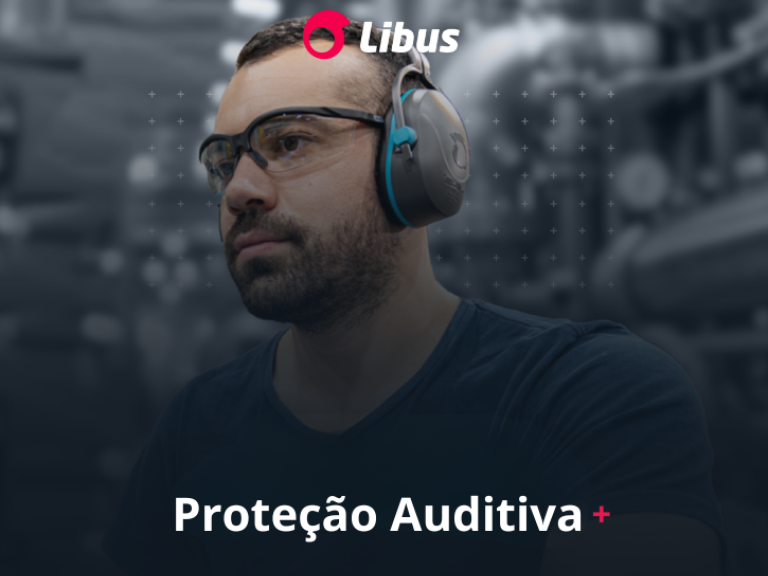 Libus do Brasil - Bridge360 - 6