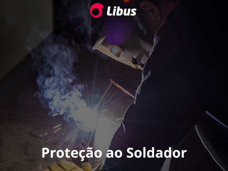 Libus do Brasil - Bridge360 - 3